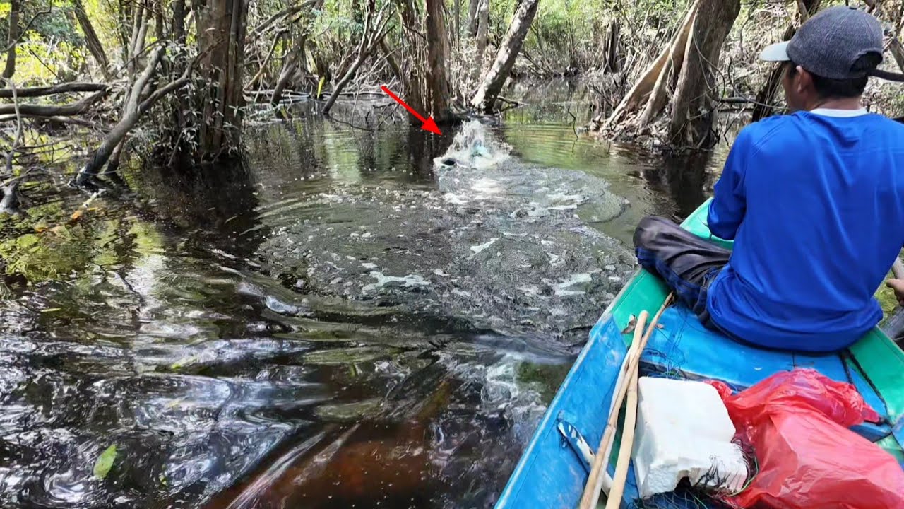 CUMA HITUNGAN DETIK UMPAN LANGSUNG DI SAMBAR 