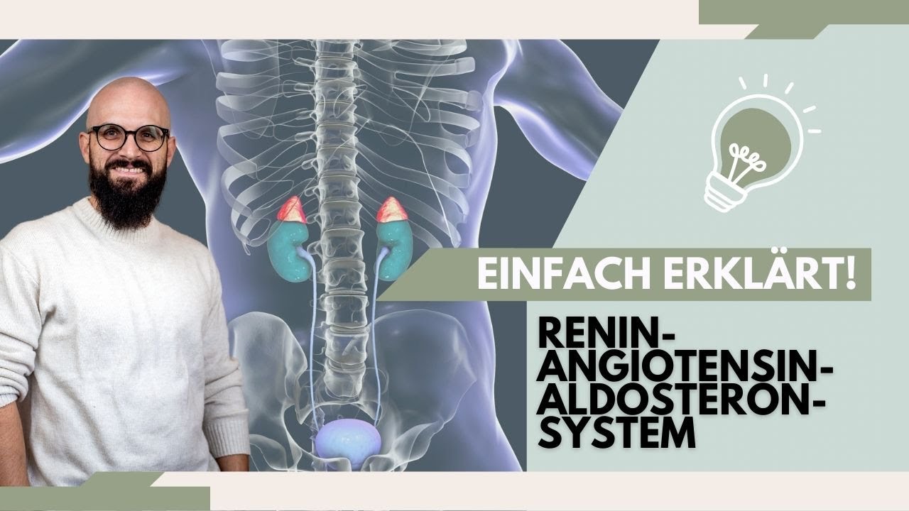 Endlich verstehen: Das Renin Angiotensin Aldosteron System