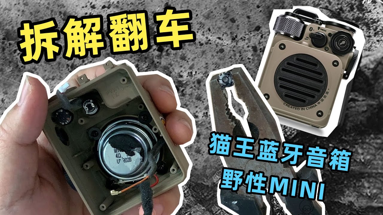 猫王野性MINI，这个小音箱太戳我，忍不住入手了，盘它！