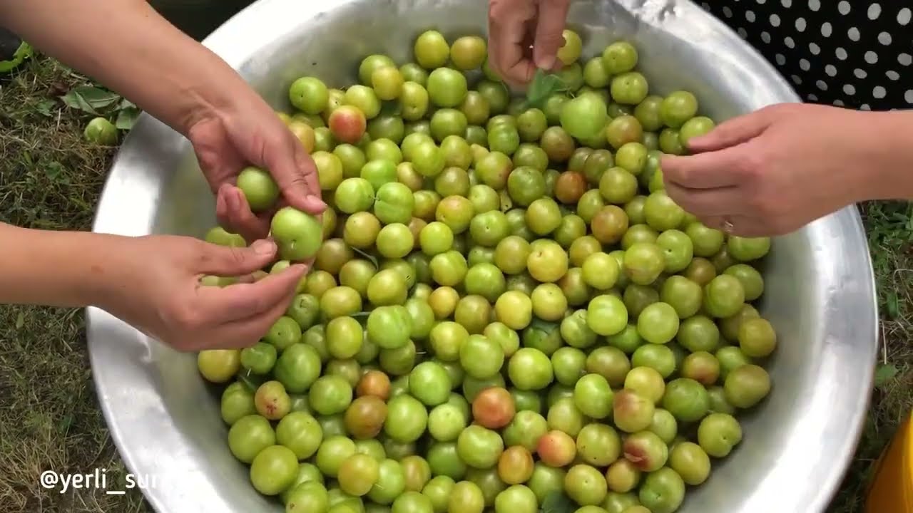 Al&ccedil;a turşusu, al&ccedil;a qurusu / Sour plum sauce, dried sour plum 🍶 #asmr