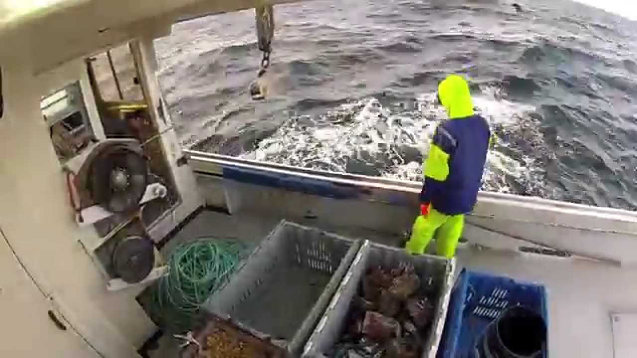 GoPro Lobster Fishing HD