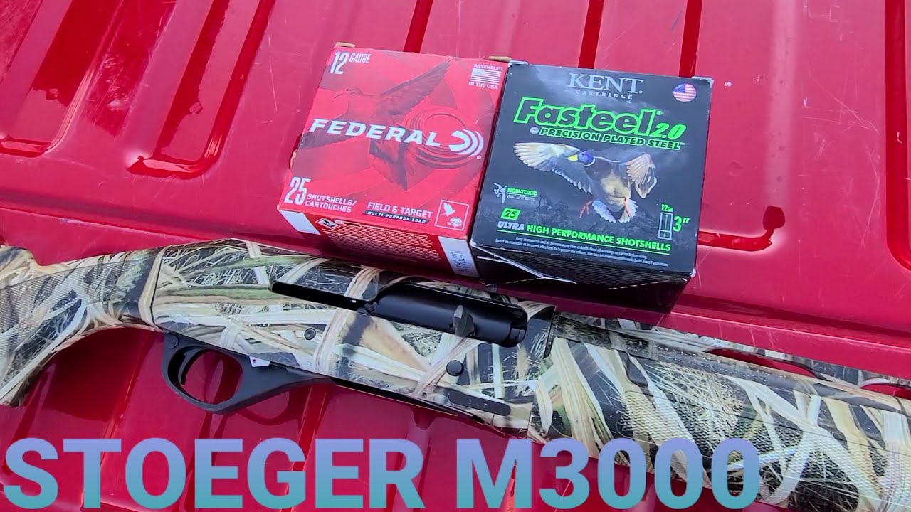 Stoeger m3000