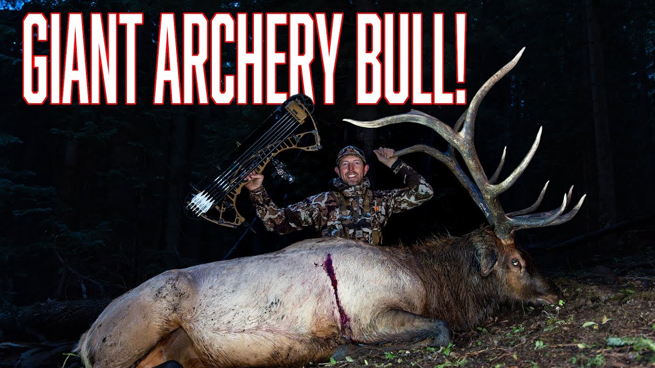 Elk Hunting The White Mountain Apache Reservation (With a Bow)