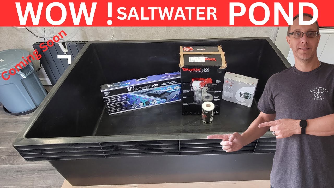 1000 litre Saltwater Pond update !!