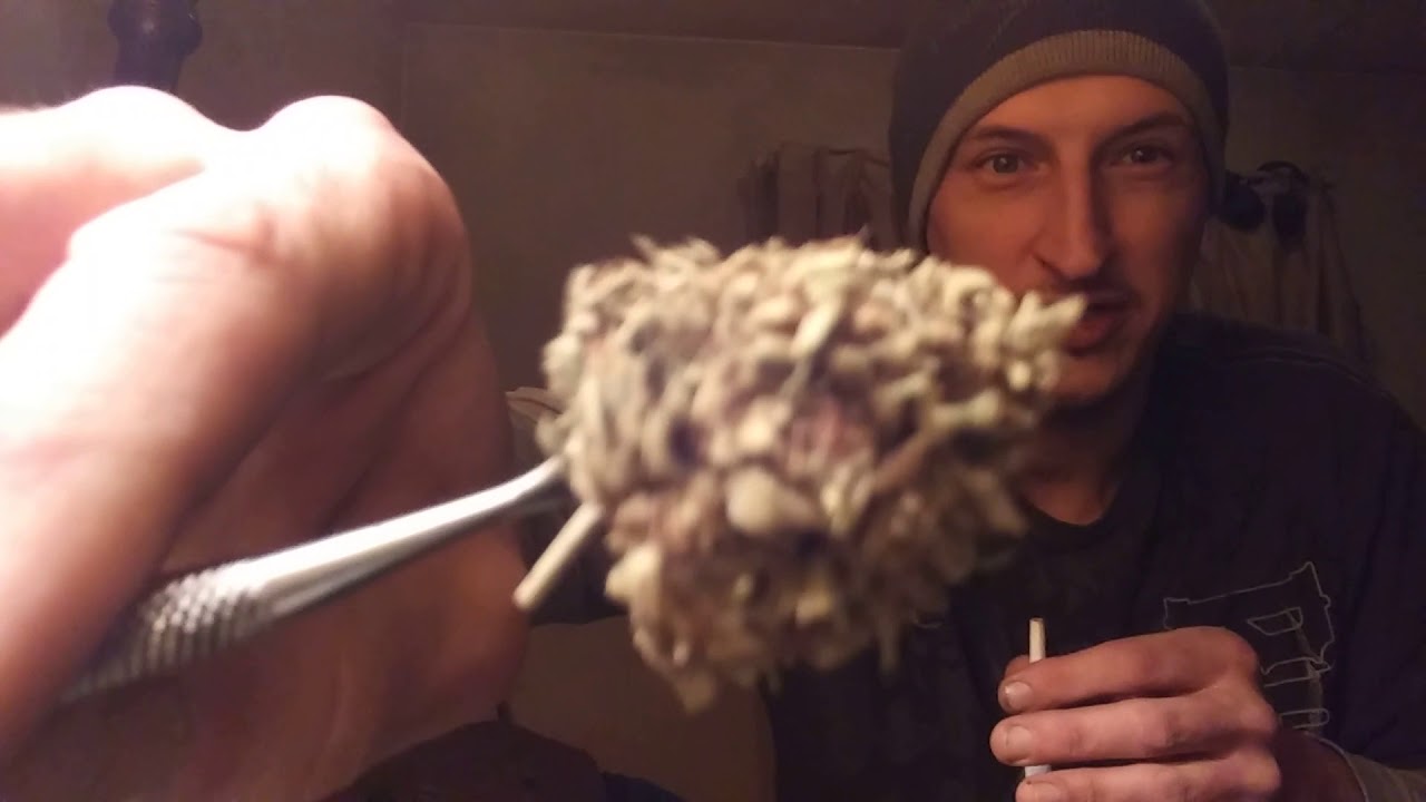 Uptowngrowlabs White Russian Reveiw