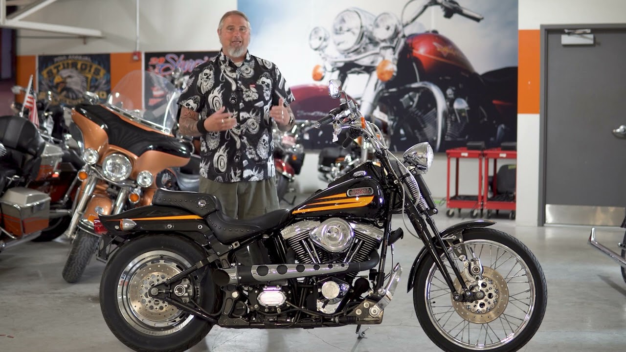 1996 Harley Davidson Springer Bad Boy