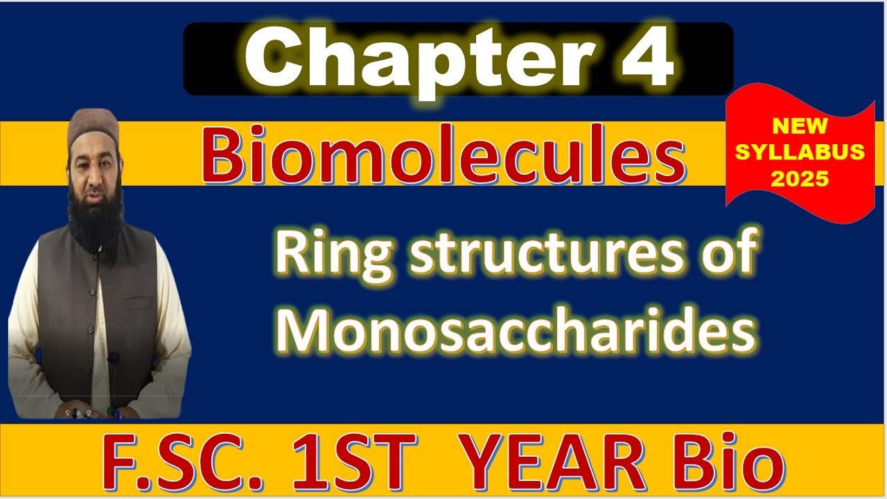 Ring Structures of Monosaccharides | Chapter 4 Biomolecules | 1st Year Biology | New PTB Book 2025