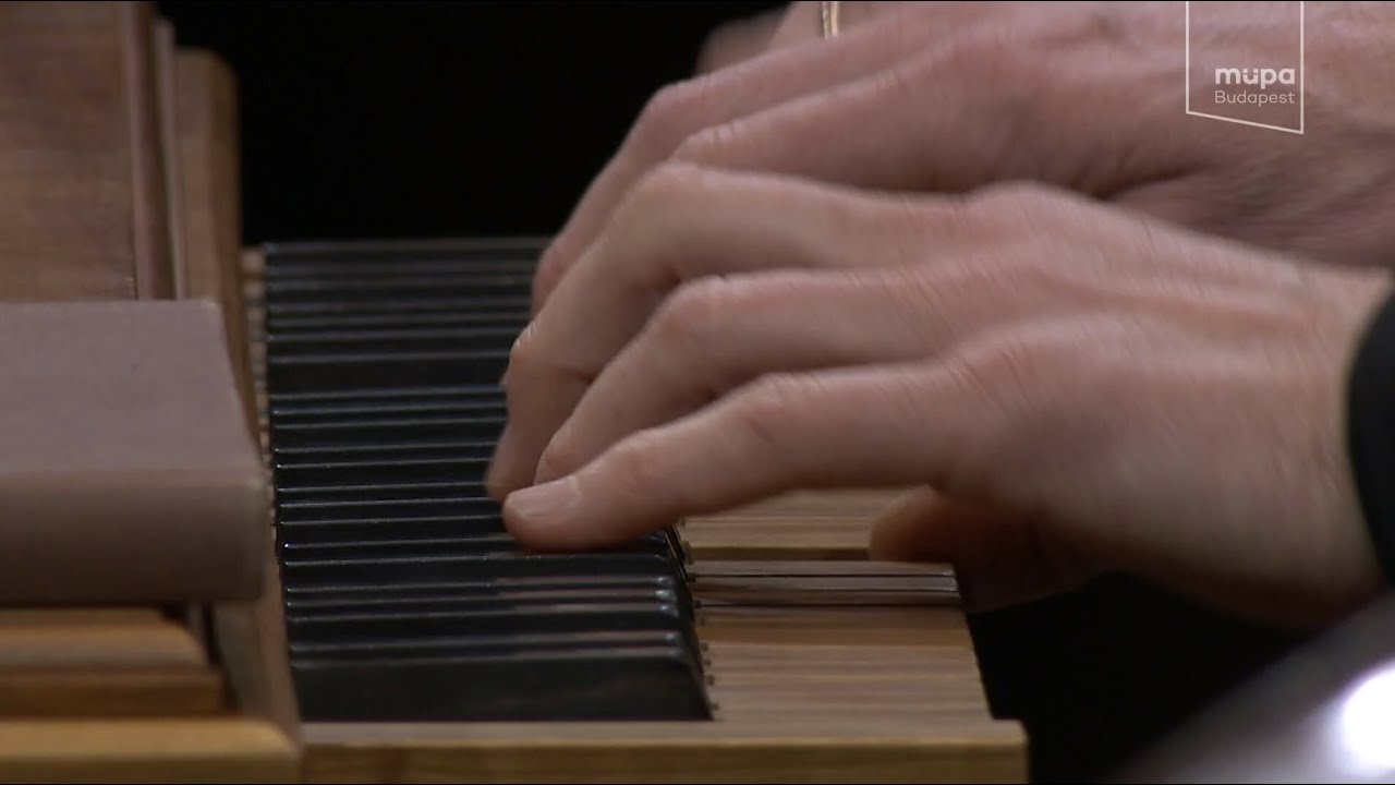 J. S. Bach - Sinfonia from Cantata BWV 169