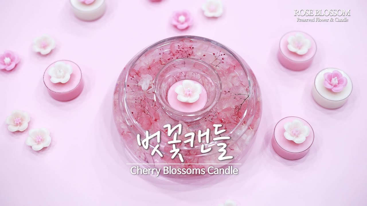 [소이캔들&젤캔들] 벚꽃 젤캔들 홀더 & 티라이트 / Cherry Blossom Gel Candle Holder & Tealight