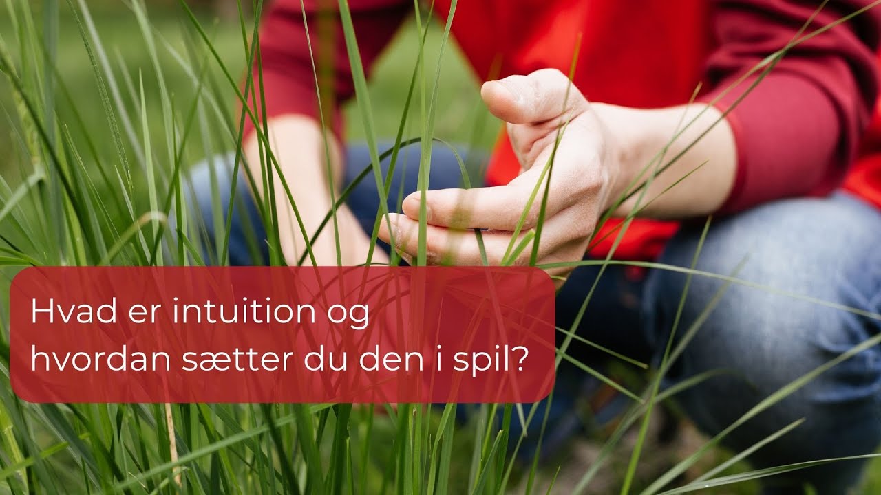 Få adgang til din intuition