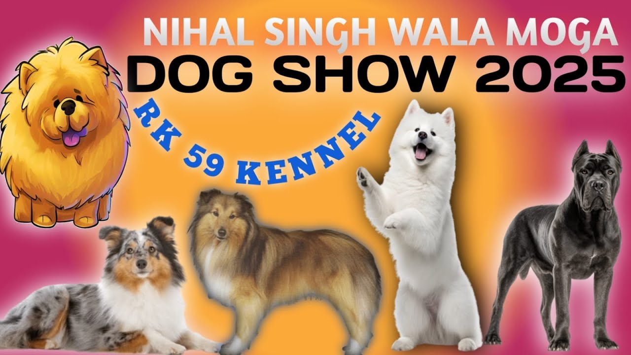 Nihal Singh Wala Moga Dog Show 2025 🐶BIGGEST PUPPY MARKET