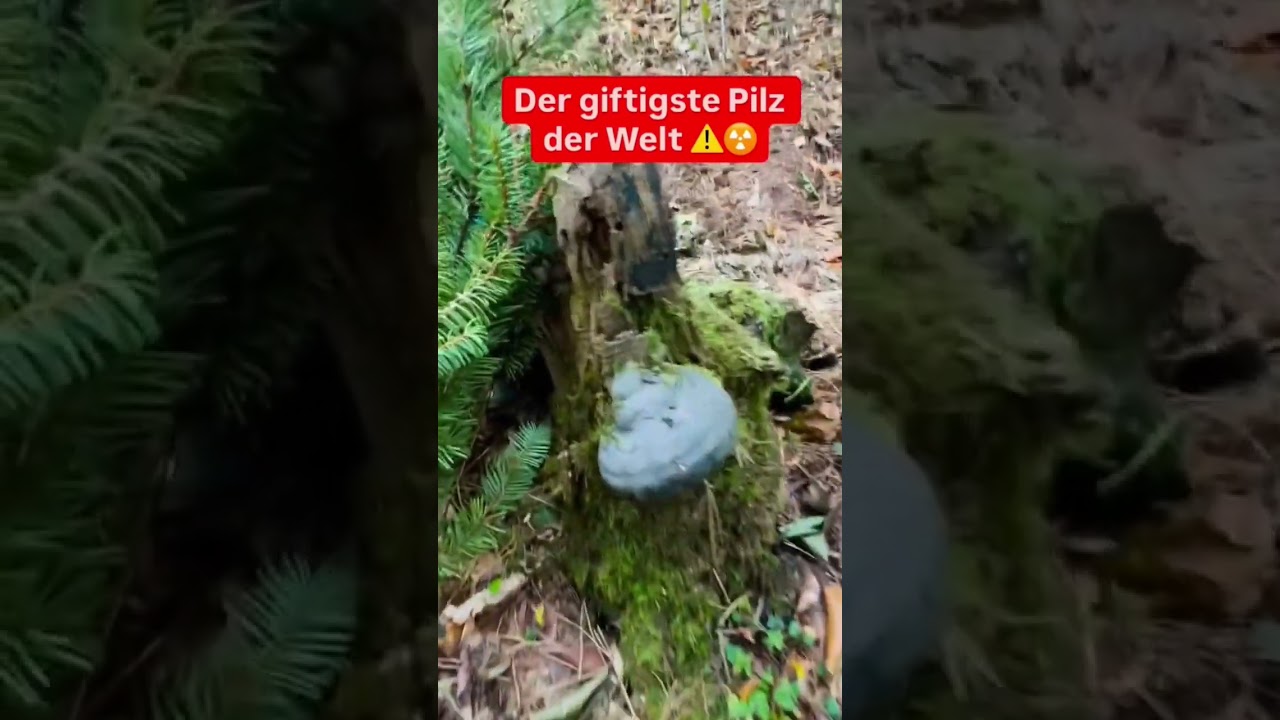 Besserabstamd halten !Vorsicht T&ouml;tlich! #funny #t&ouml;tlich