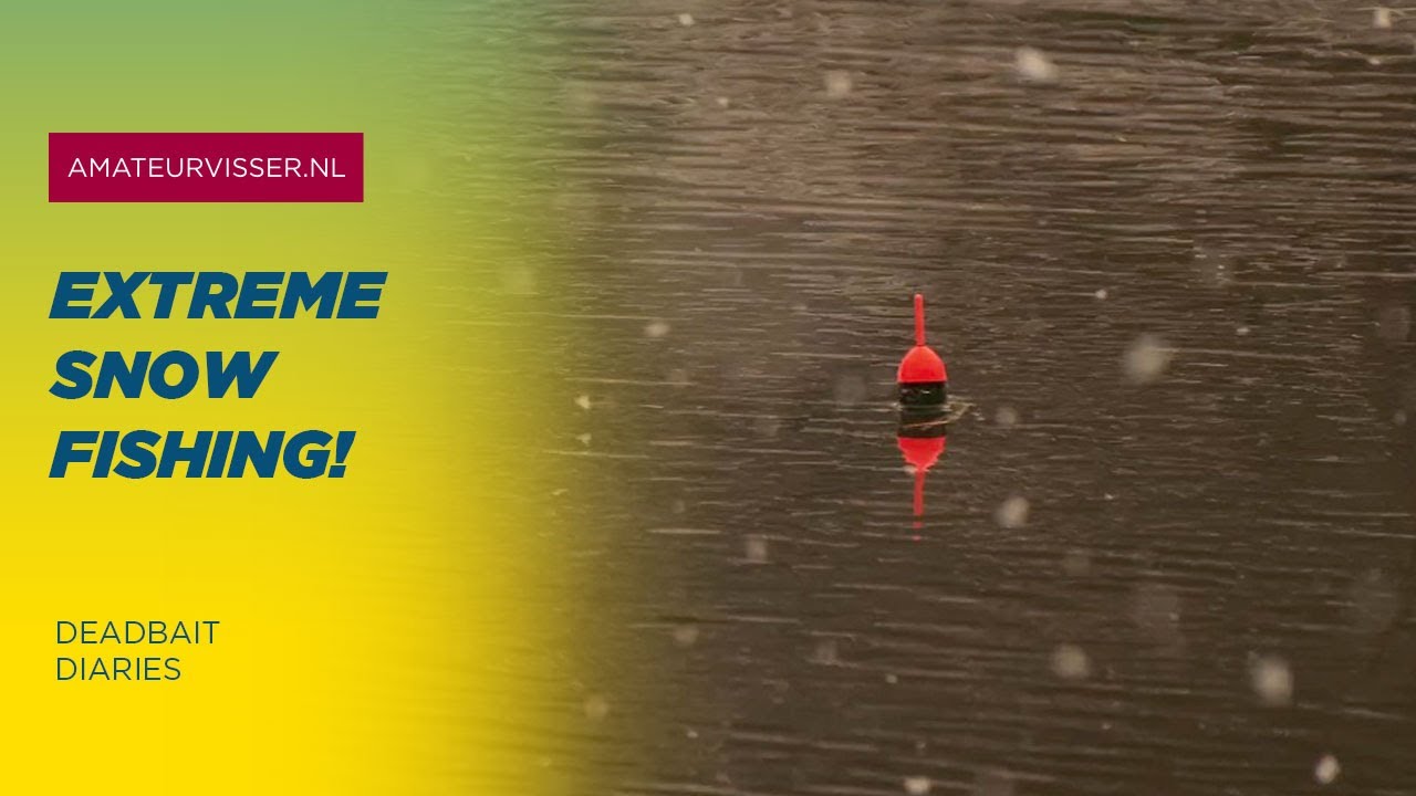 DOODAAS GEKKENWERK! ❄️ Vissen tijdens een EXTREME SNEEUWSTORM!