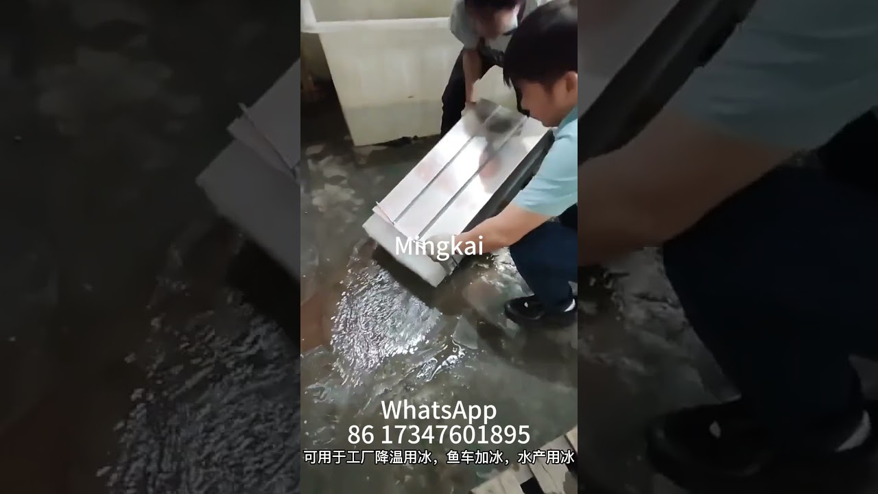 Industrial ice block machine for cold storage refrigeration house#icemachine #coldstorage #iceblock