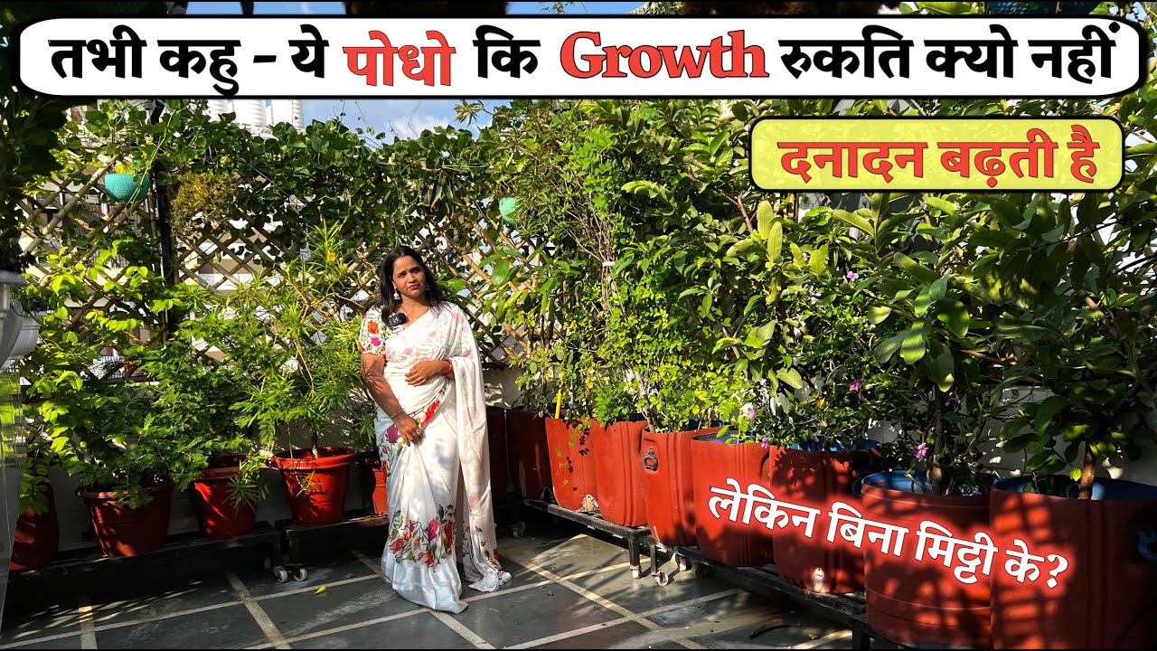 पोधो को मिलेगा Rocket जैसी Performance FRUIT हो या Vegetable Plants ऐसा क्या है (SOIL) इसमें ?