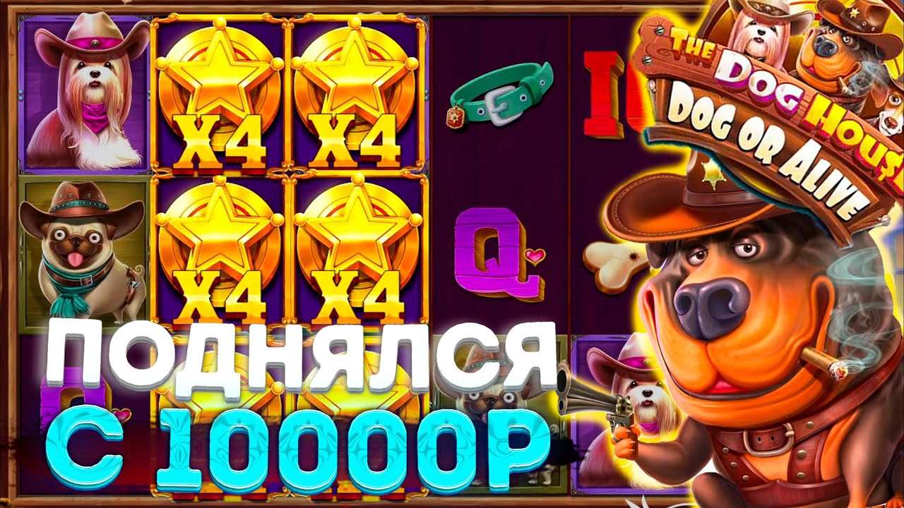 ПОДНЯЛСЯ С 10000Р В THE DOG HOUSE DOG OR ALIVE / ПОЙМАЛ ЗАНОС