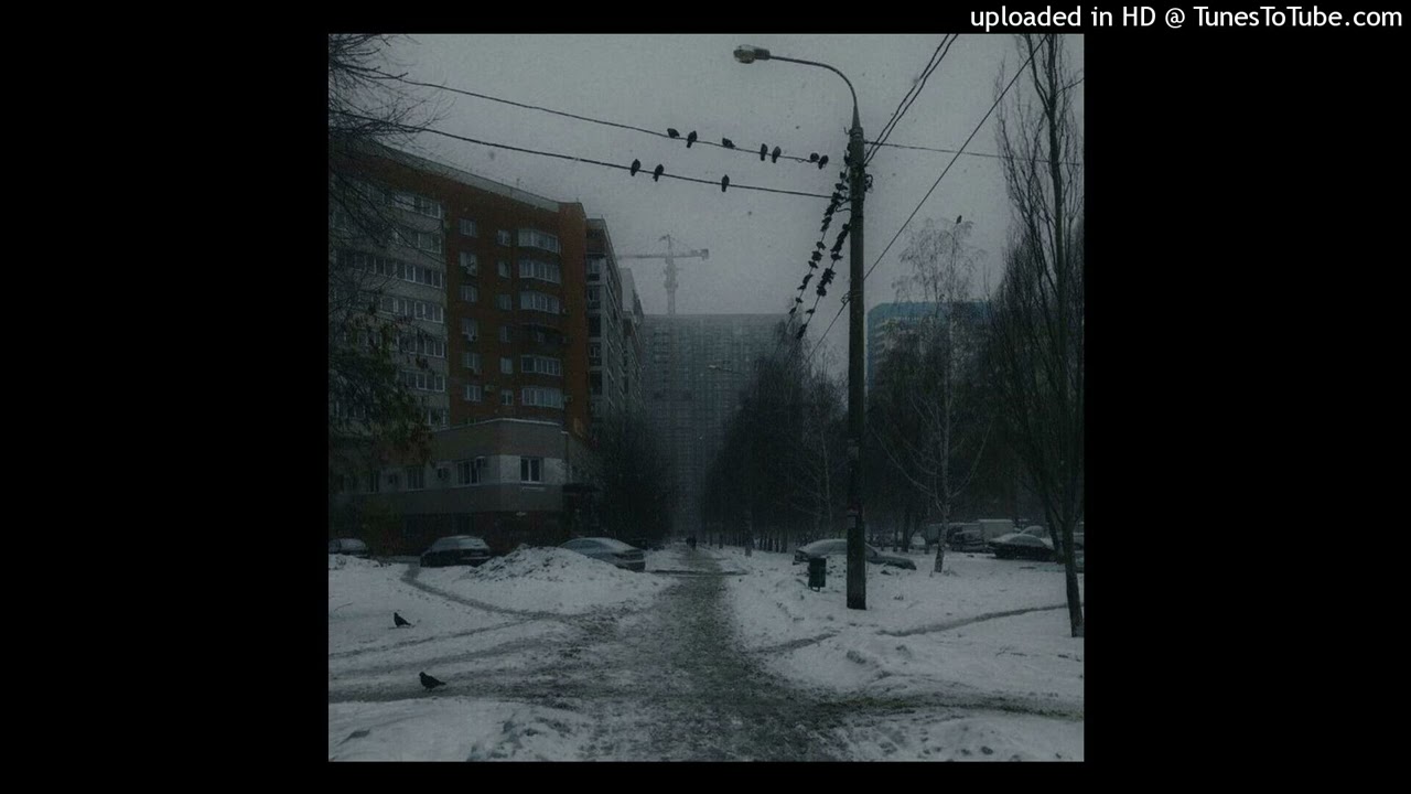 [FREE] Molchat Doma & перемотка, буерак - 
