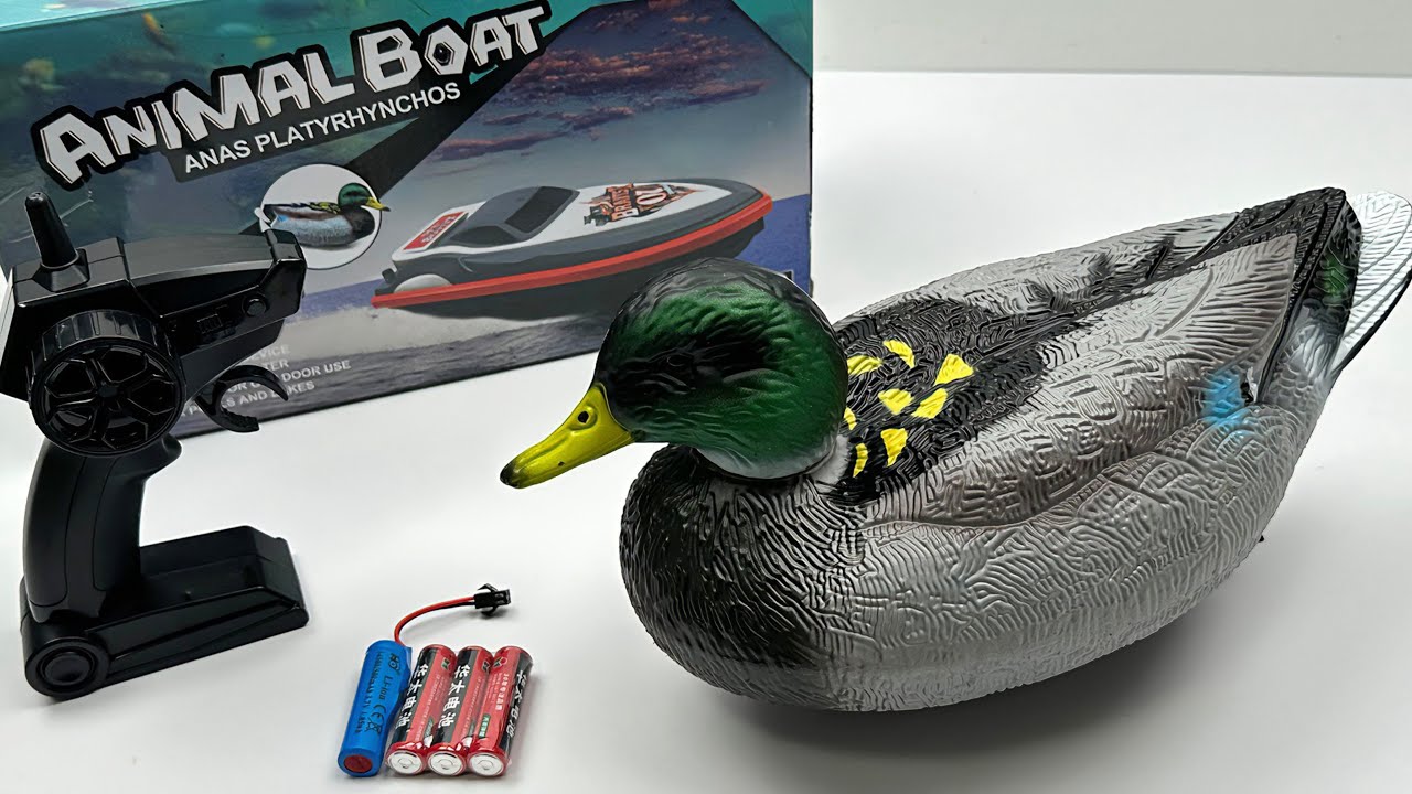 Beyond Unboxing, RC Plesiosaur & Speedboat : From Unboxing to Real Water Adventure!