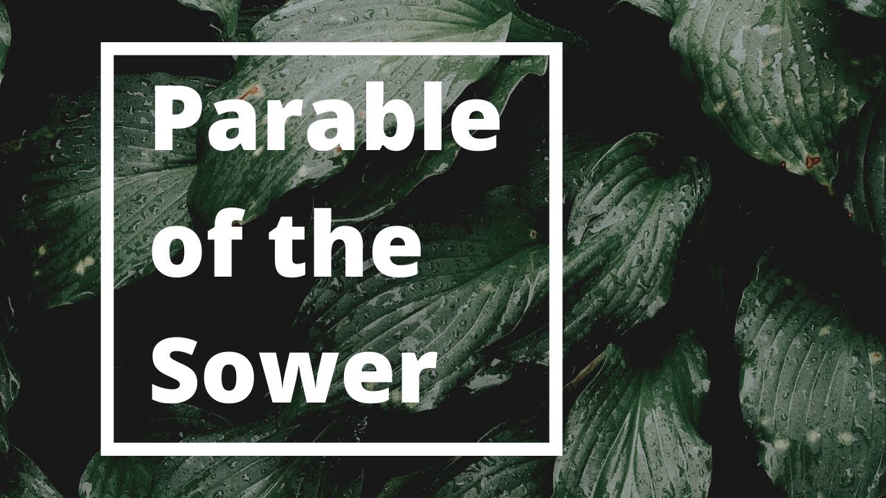 Parable of the Sower