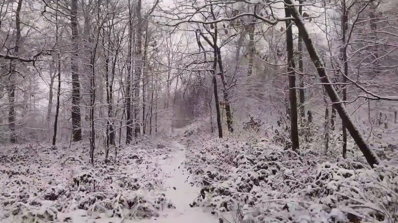 Между годами: декабрь и январь 2026 ❄️ Мой зимний влог