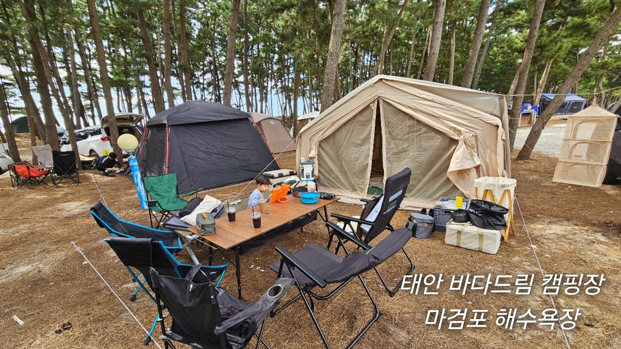 [캠핑브이로그] 114 태안 바다드림 캠핑장 🏕 / 다원 맛집