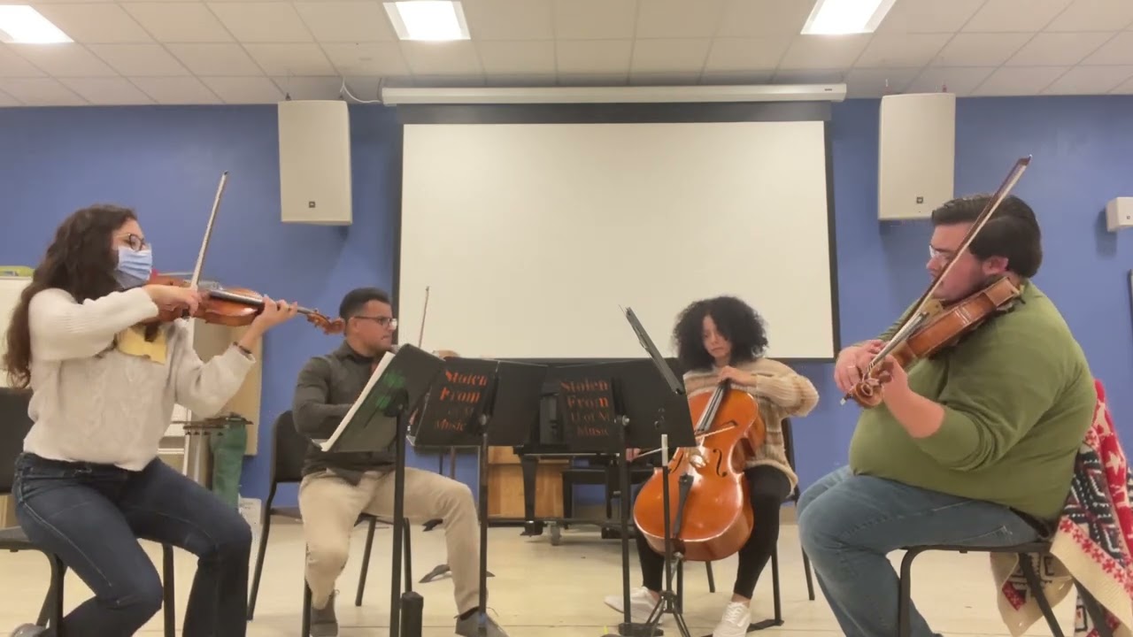 Franz Schubert (1797-1828): String Quartet No. 13, D 804 in A minor - 1. Allegro ma non troppo