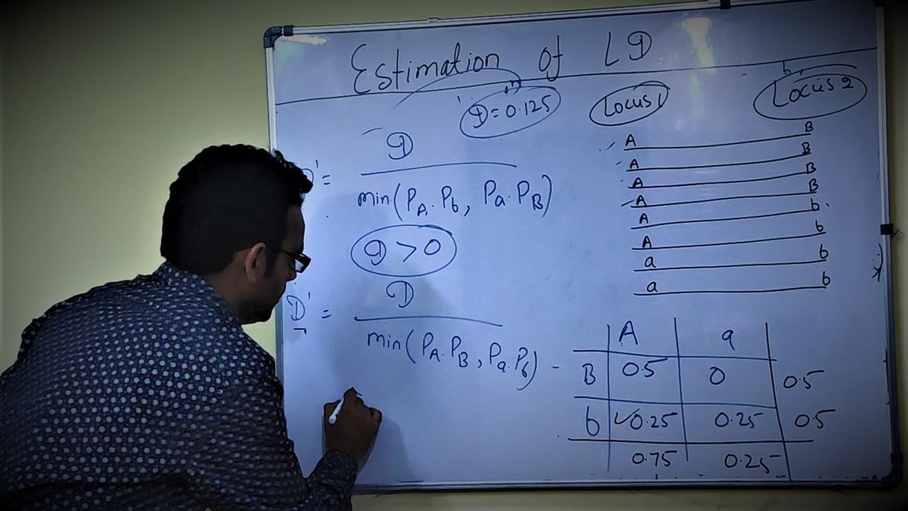 Estimation of Linkage Disequilibrium | Mutation and Recombination History |