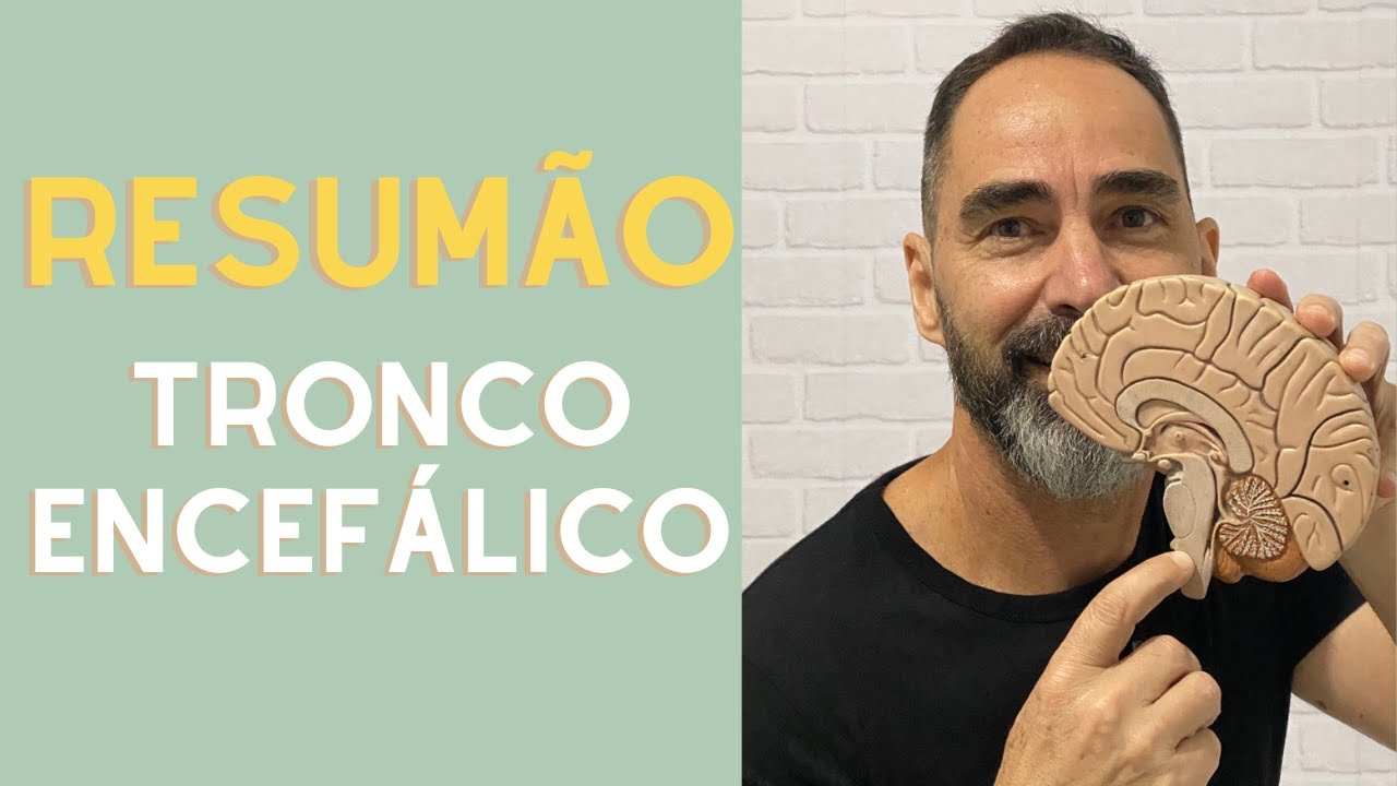 TRONCO ENCEFÁLICO - BULBO SUPERIOR, NÚCLEOS, TRACTOS, FASCÍCULOS E LEMNISCOS