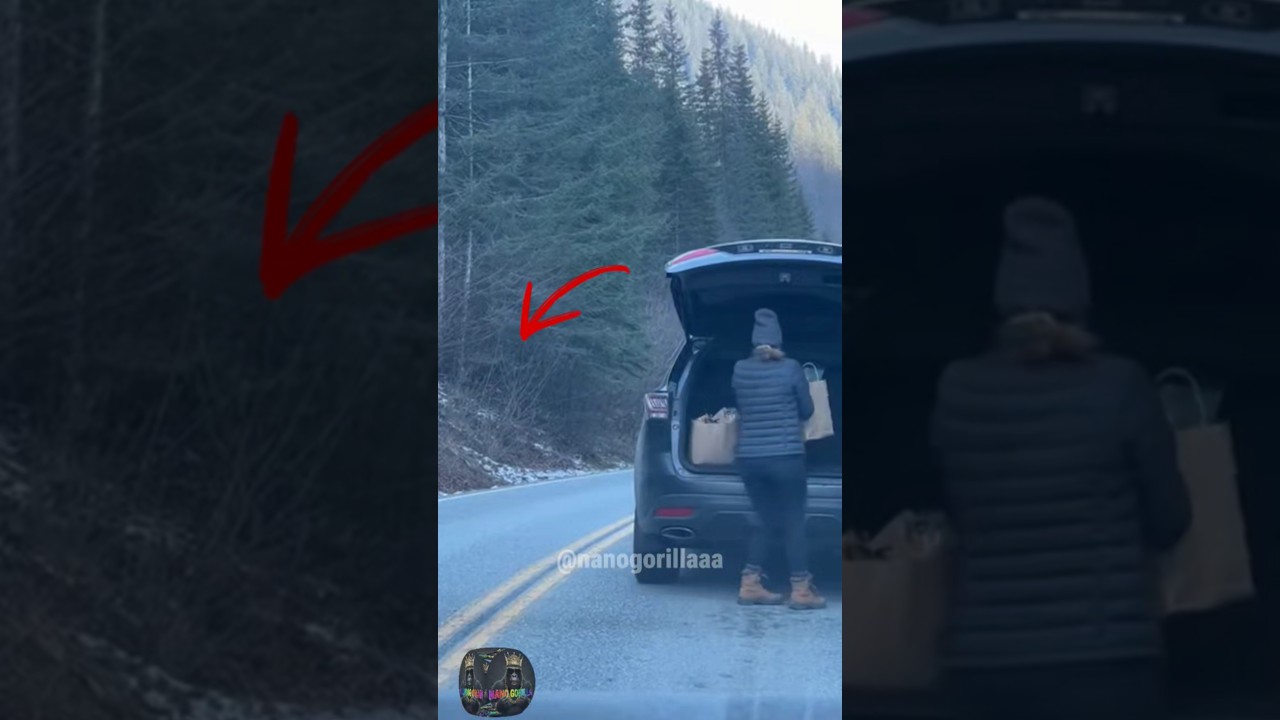 What saved me from the bear was...