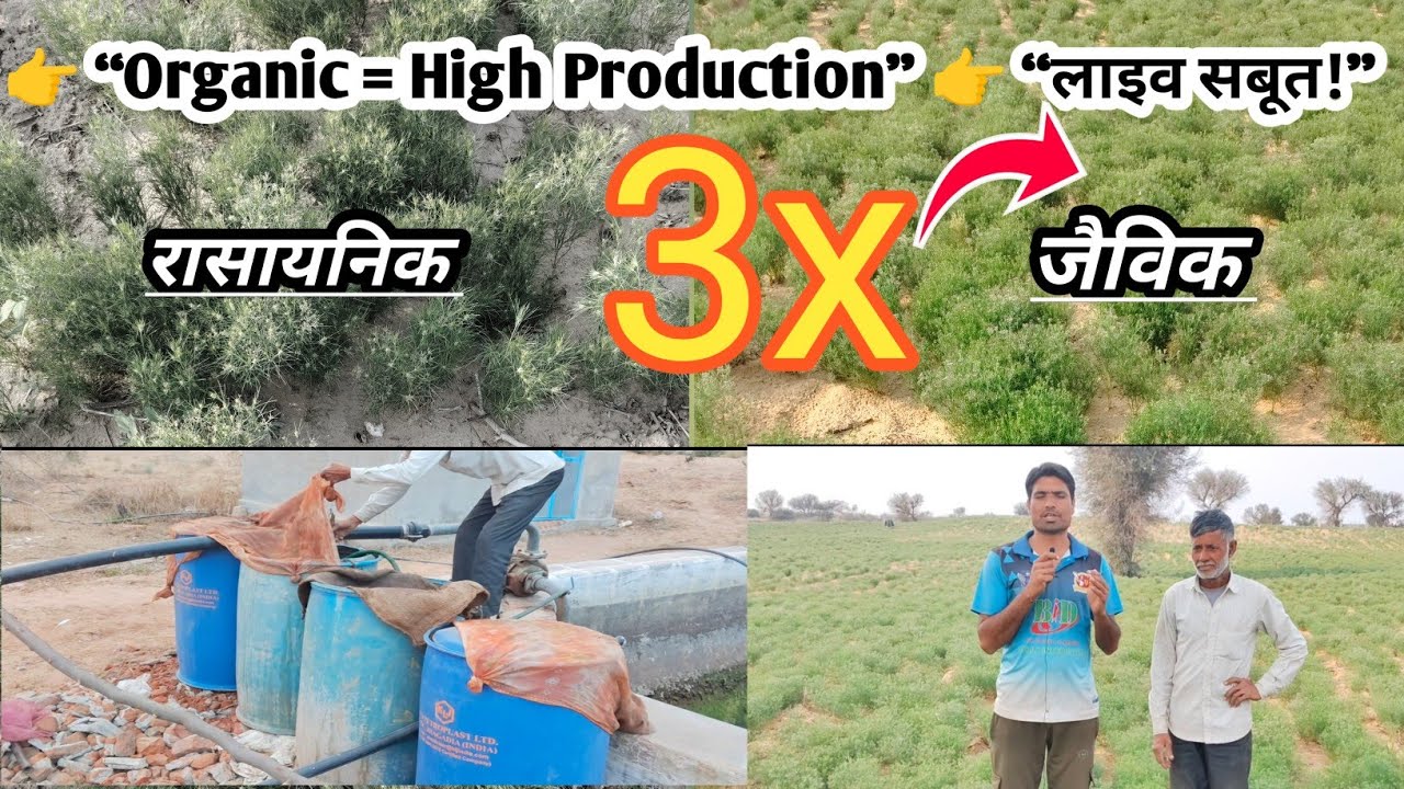 👉 “Organic = 3 गुना Production?” 👉 “लाइव सबूत!”