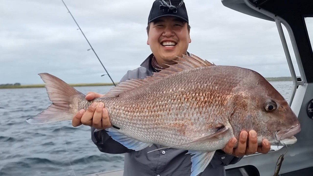 EPIC day's fishing! (BIG Snapper caught!)