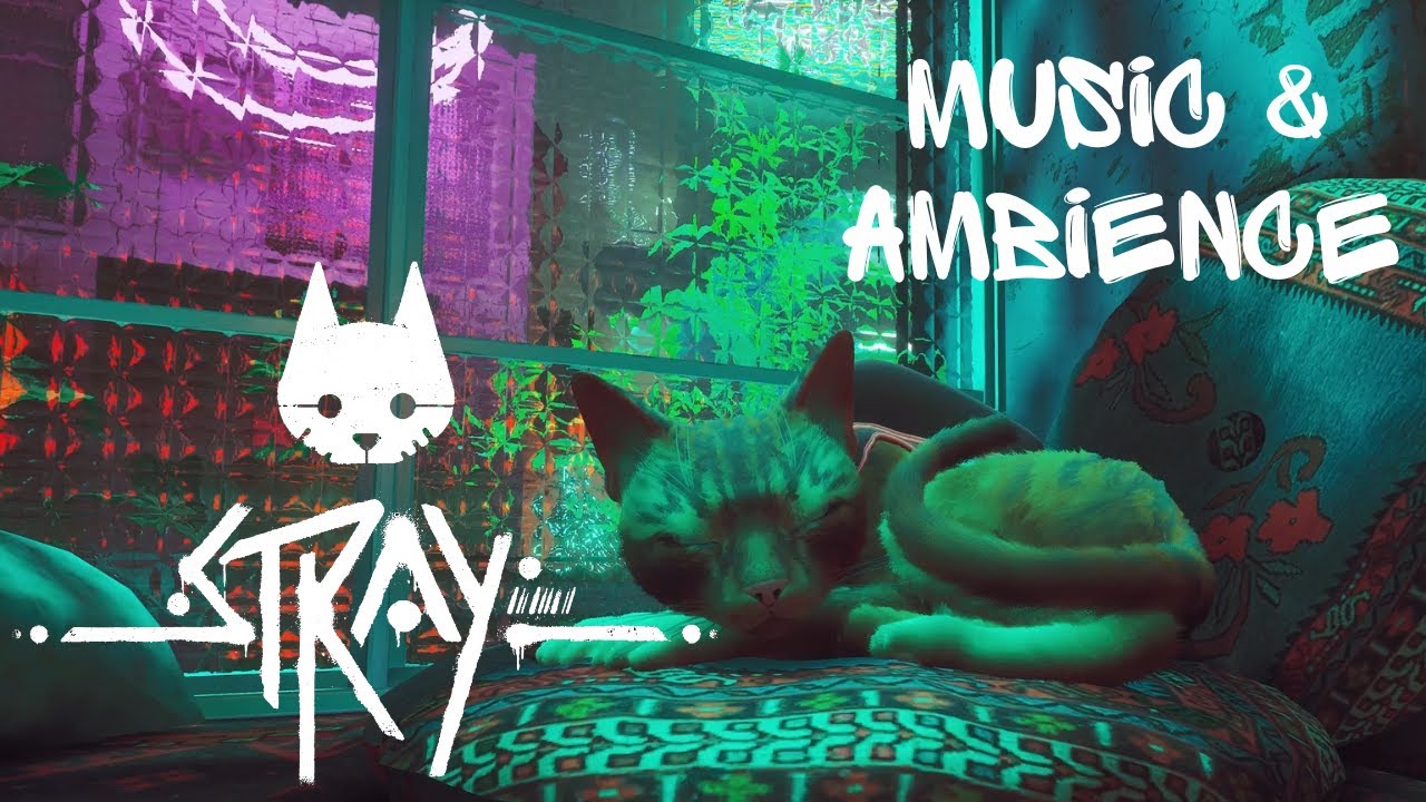 Lazing Around Listening to Vinyl | Stray | Music & Ambience