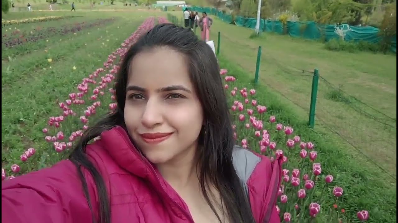 Tulip Garden Kashmir | Indra Gandhi Memorial Tulip Garden | Tulip Garden Srinagar | Kashmir Blog 