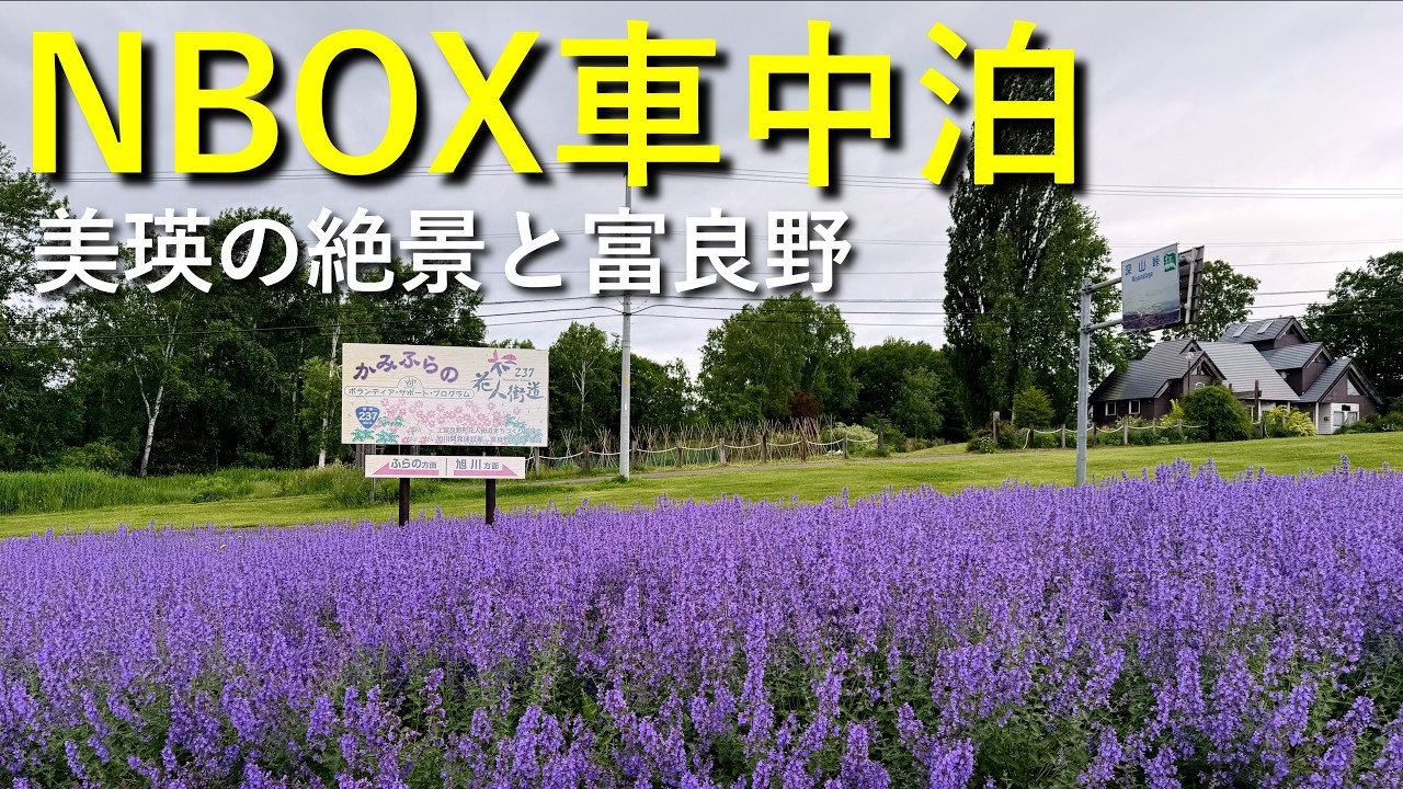 【2025年北海道 車中泊の旅 Part.7】旭川・神楽岡公園～富田ファーム～道の駅 白金ビルケ
