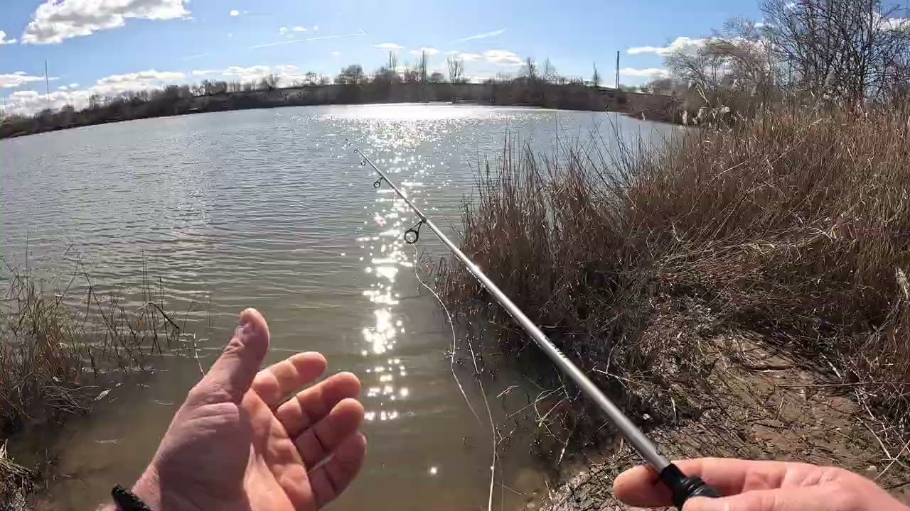 19 de febrero de 2026