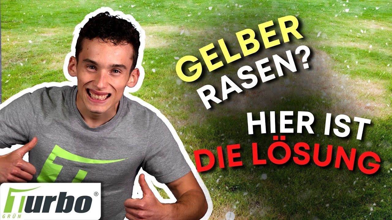 Gelber Rasen im Winter | Warum & was du dagegen tun kannst? | Turbogrün