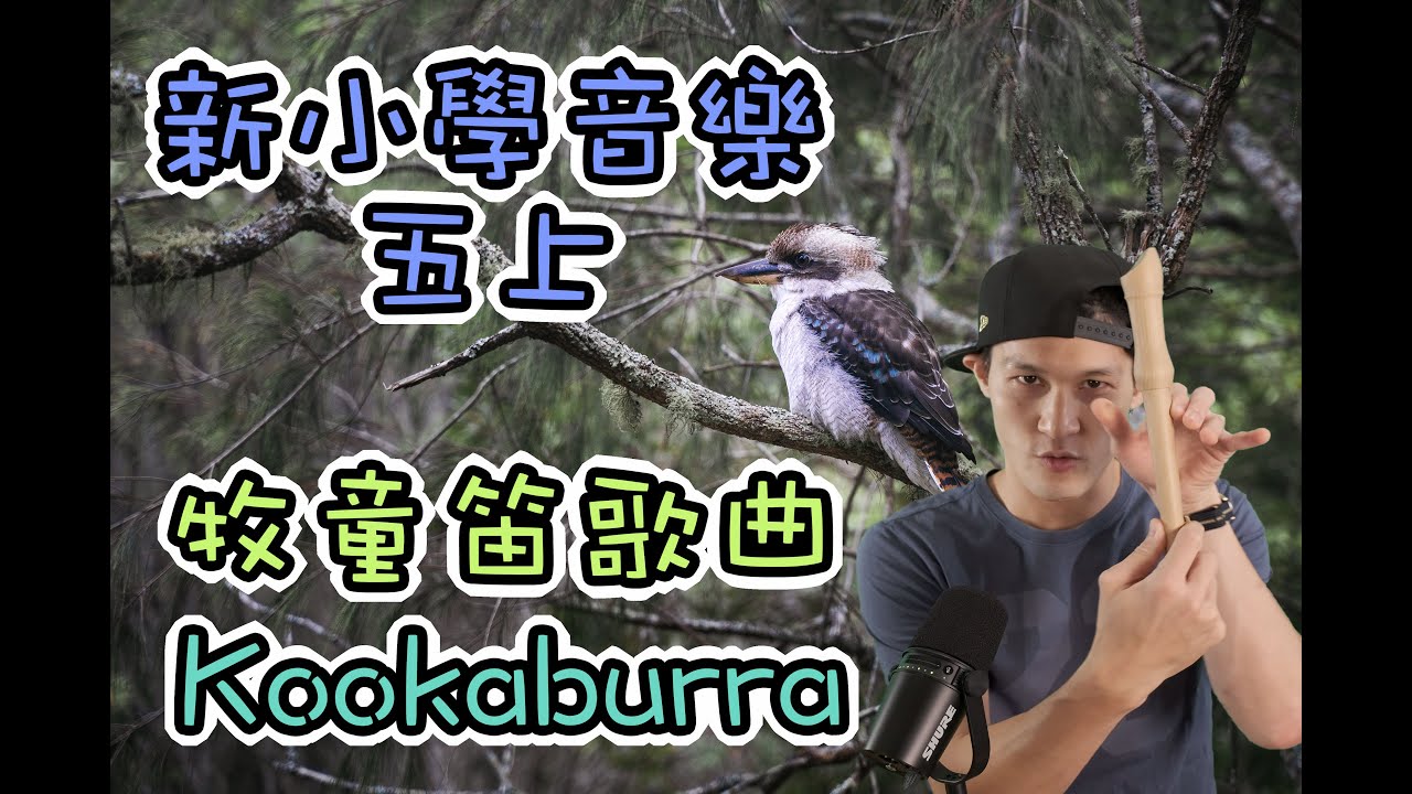 【新小學音樂】Kookaburra｜直笛練習｜牧童笛練習曲｜牧童笛歌曲｜兒歌｜笛子練習｜澳洲民歌