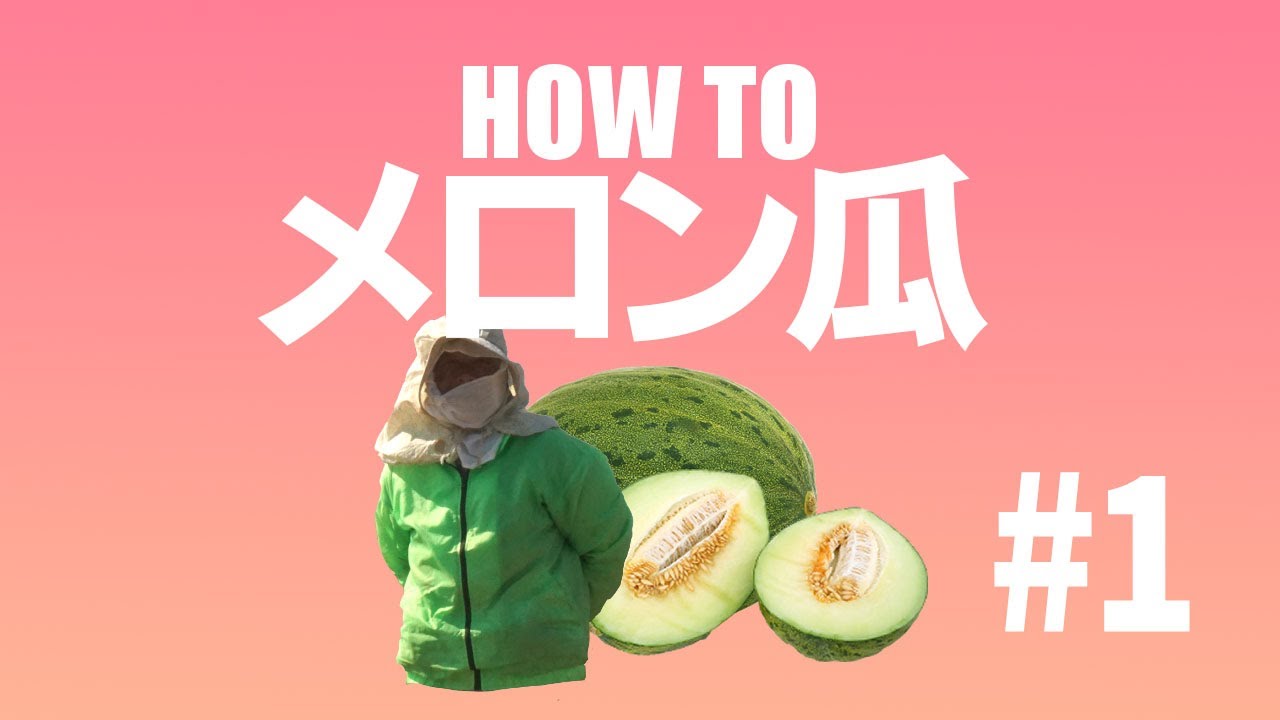 #1【野菜作り】メロン瓜編（副音声）