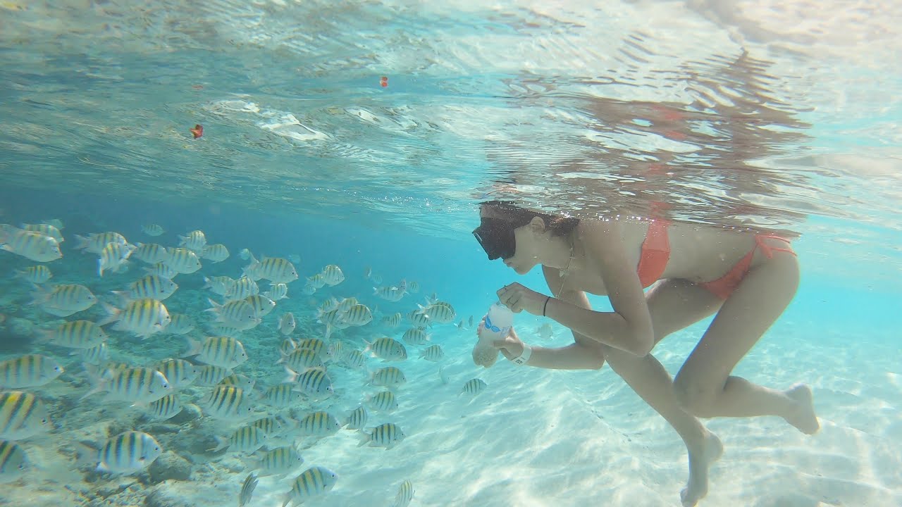 Carla underwater - my vacation in Dominican Republic