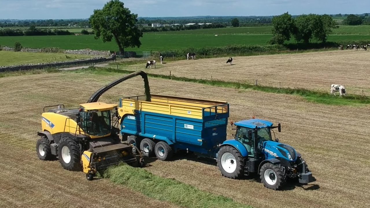 Silage 2019 - O'Brien Bros
