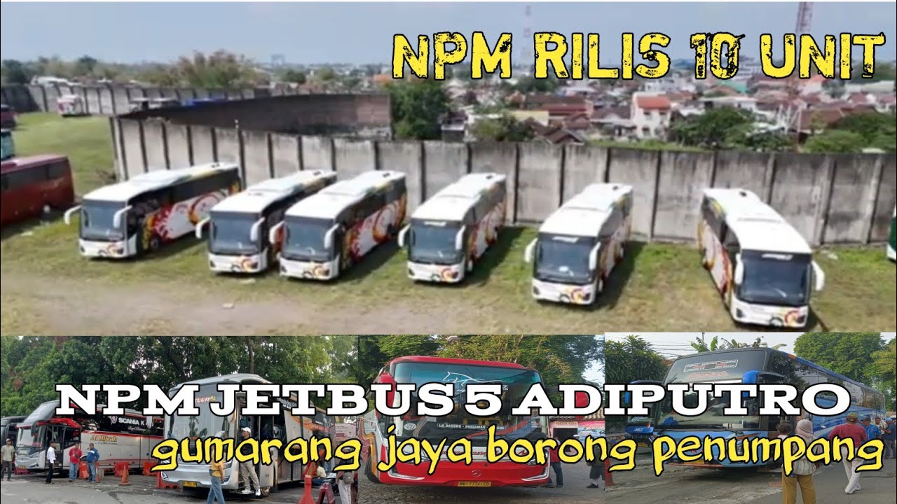 NPM RILIS 10 UNIT JETBUS 5 ADIPUTRO ‼️GUMARANG JAYA BORONG PENUMPANG DI TERMINAL BOGOR🔥😎