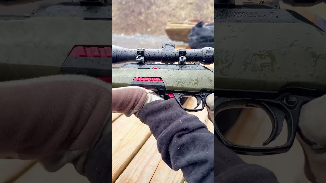 22LR Winchester Wildcat
