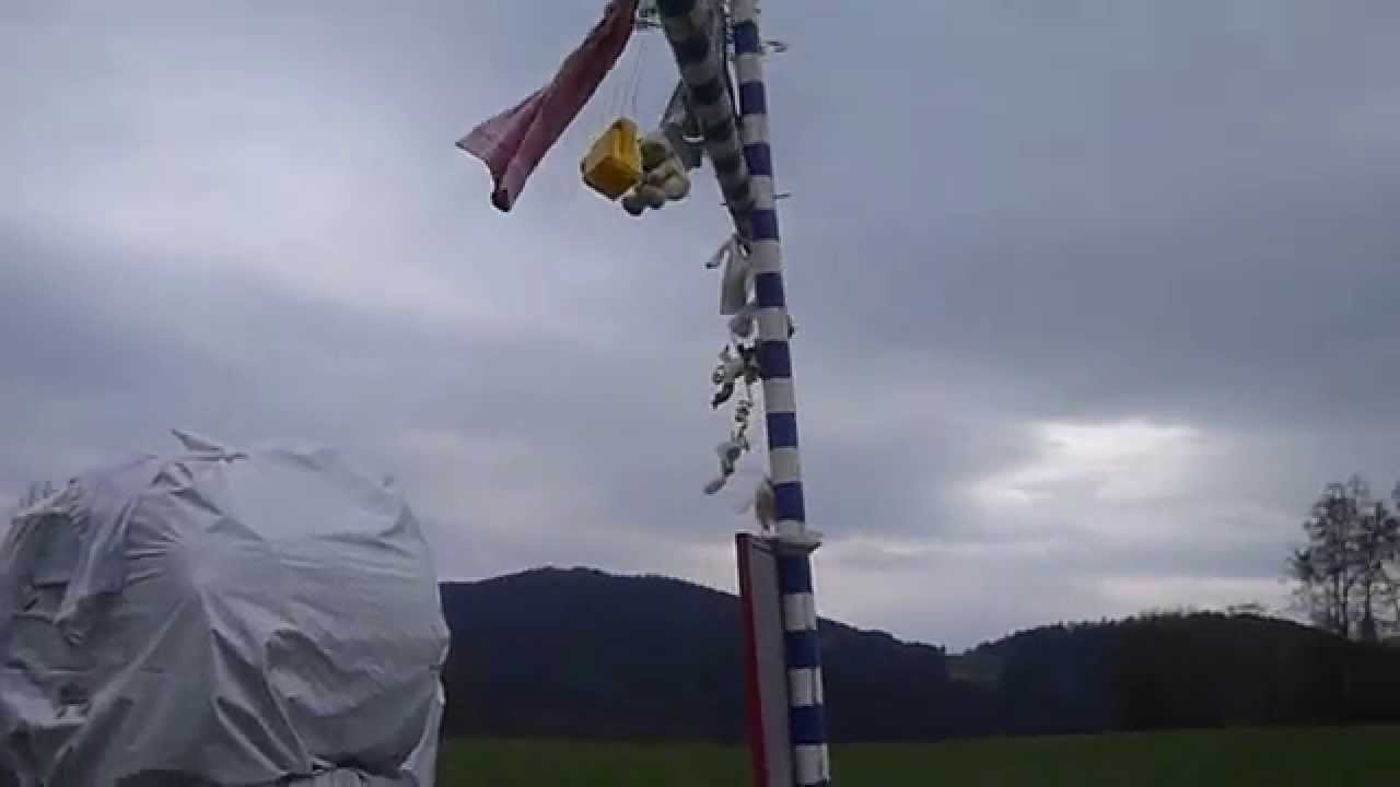 Der Storch auf dem Kindsbaum bei Schönau
