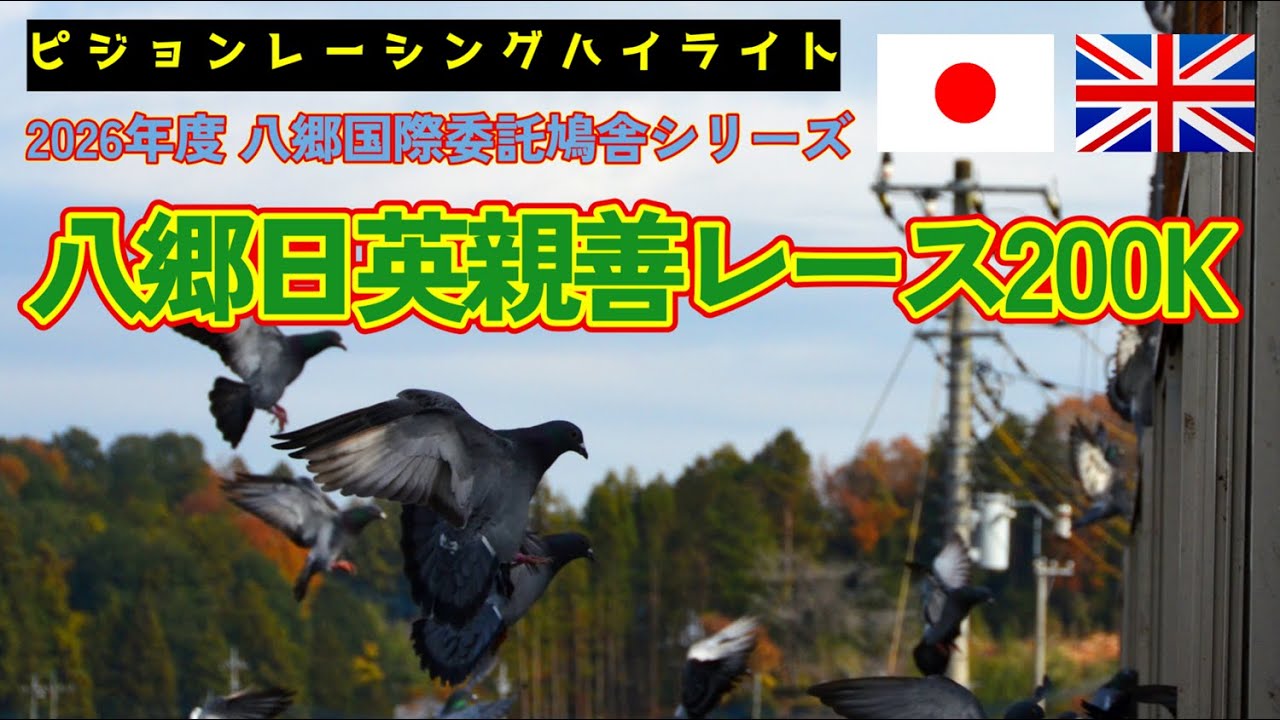 2026年度「八郷日英親善レース200K」ハイライト！