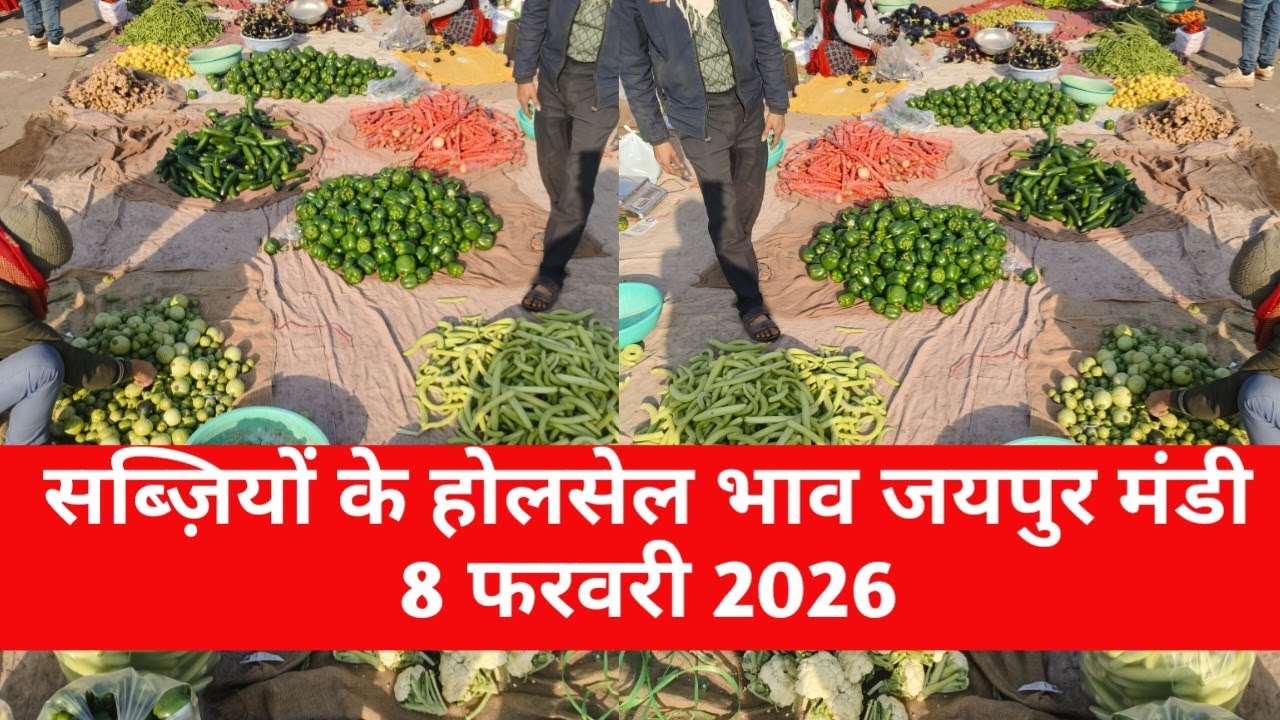 8 फरवरी 2026 सब्जियों का भाव | जयपुर सब्जी भाव | सब्ज़ियों के भाव जयपुर / vegetable market Jaipur