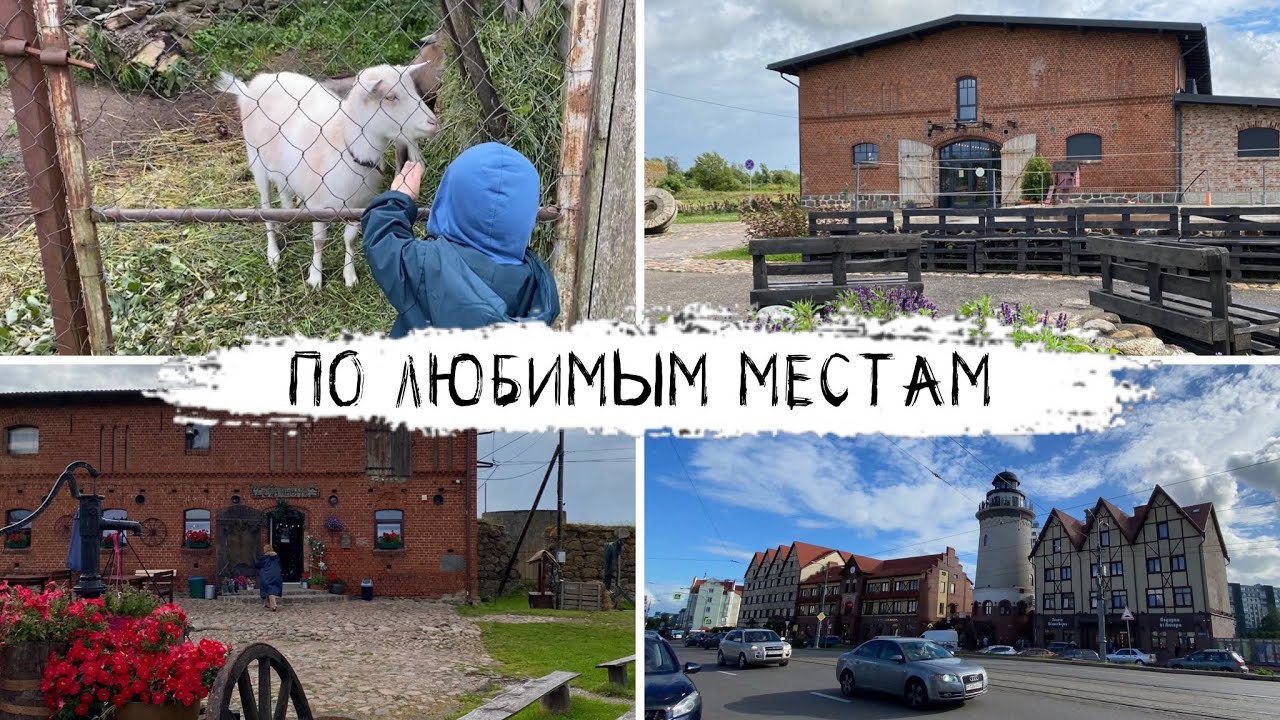 К нам приехал папа! Гуляем по Калининграду 🤗 Квартира в Сосновке