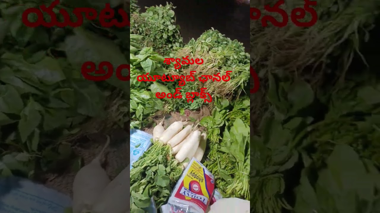 న్యూ mig మార్కెట్ సోమవారం రోజు
