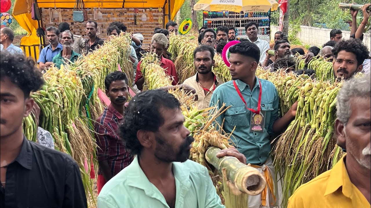 കതിർ (kathir)ഞങ്ങടെ നാട്ടിലെ ഉത്സവം #minivlog #youtubeshorts #contentcreator #festival 