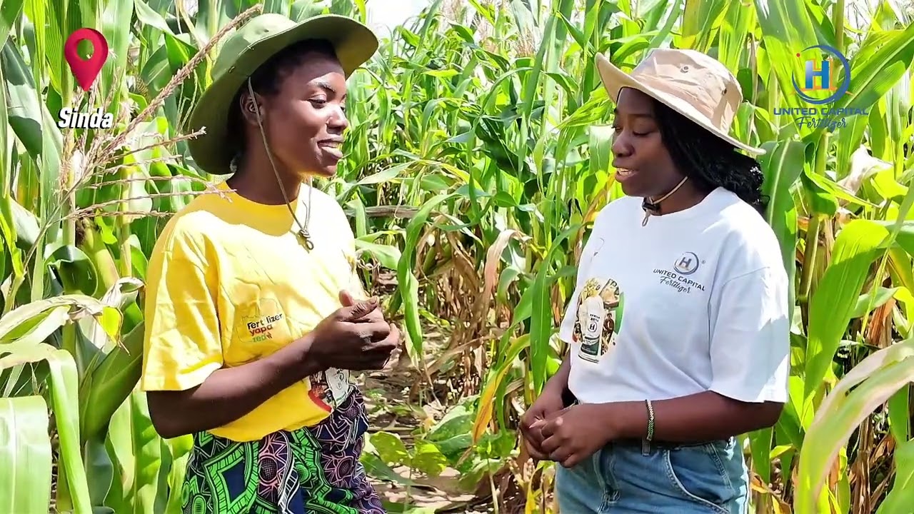 UCF Farm Visit: A Surprise Visit to Sarah Phiri’s Farm in Sinda.