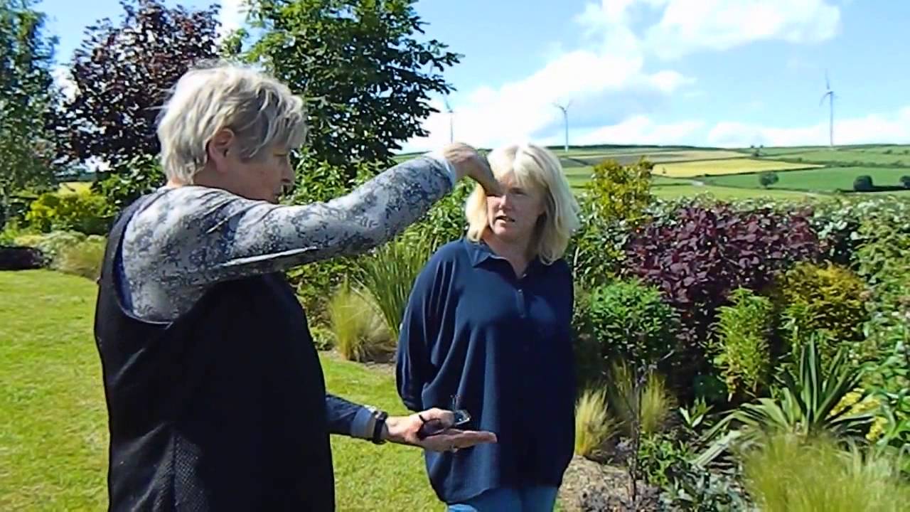 How To Stake Delphiniums - expert advice